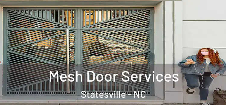 Mesh Door Services Statesville - NC